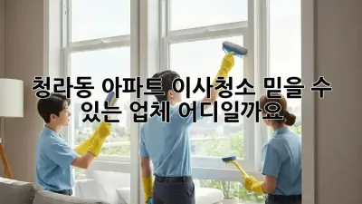 청라동 아파트 이사청소, 믿을 수 있는 업체 어디일까요?